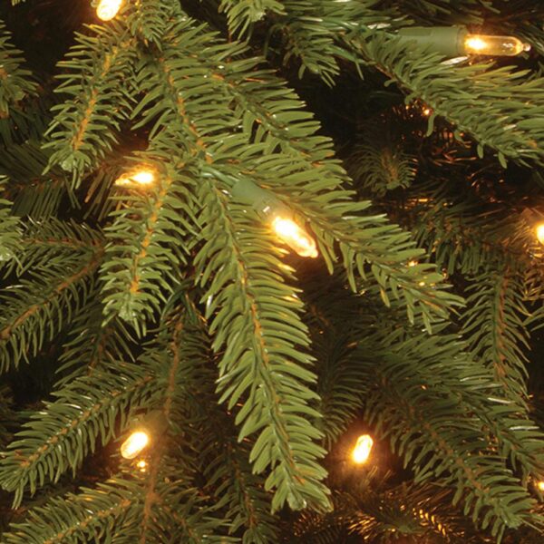 National Tree Company 7.7 ft. Monterey Fir Tree with Clear Lights