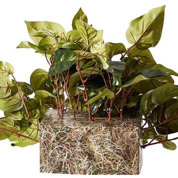 Nearly Natural Indoor 15in. H Green Pothos Ledge Plant (Set on Foam) Silk Plant