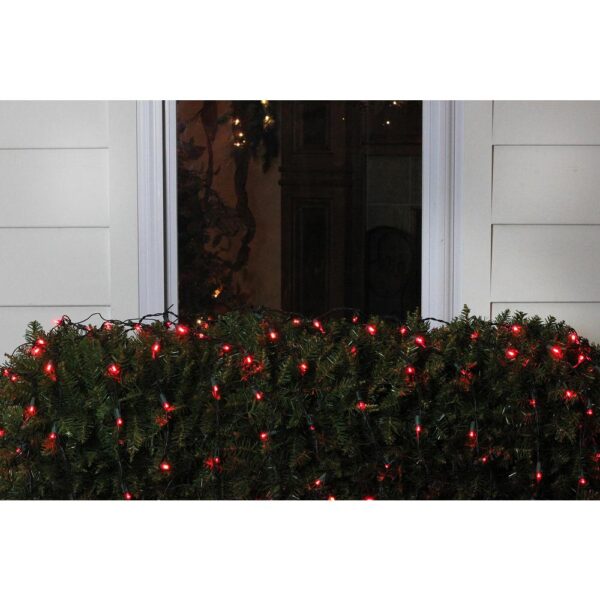 Northlight 4 ft. x 6 ft. Red LED Net Style Christmas Lights with Green Wire