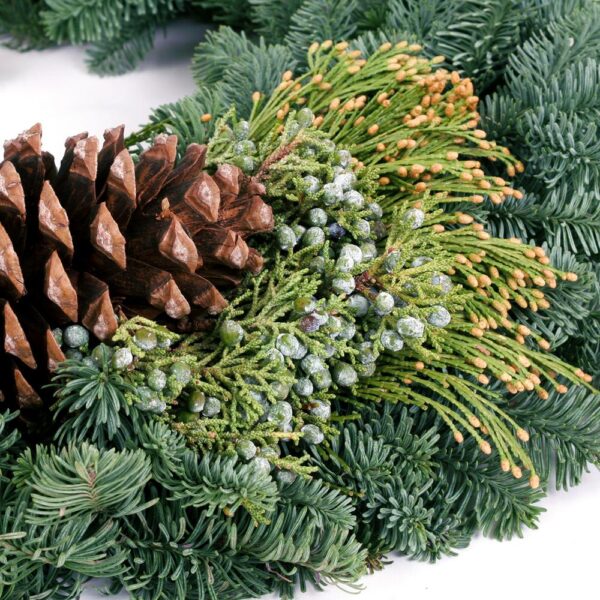 VAN ZYVERDEN 24 in. Live Fresh Cut Pacific Northwest Mixed Christmas Wreath Pine Cone Decorated
