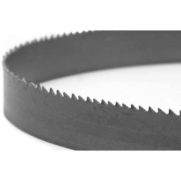 WEN 44.8 in. Metal Bandsaw Blade with 10/14 TPI and 1/2 in. W