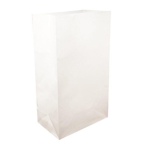 LUMABASE White Luminaria Bags (100-Count)