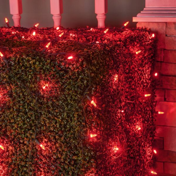Wintergreen Lighting 48 in. x 72 in. 100-Light M5 LED Red Net Light Set